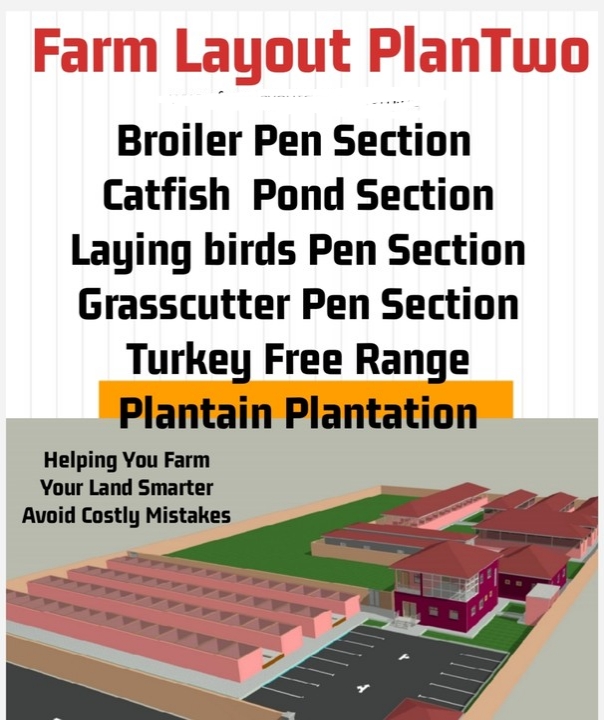Integrated farming COMBINATION TWO for Broiler, Catfish ,Laying Birds, Grasscutter, Turkey ,A Plantain farm