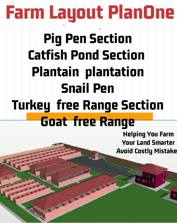 Integrated farming COMBINATION ONE for Pig Farming, Catfish Farming, Plantain Farming, Snail Farming, Turkey Free-Range, And Goat Farming