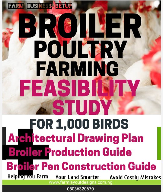 257131 BROILER BUSINESS PLAN